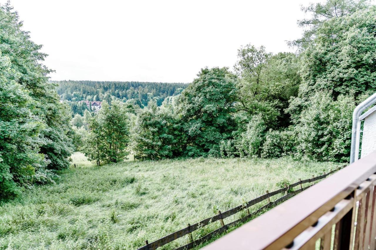 Wiesenblick กอสลาร์ ภายนอก รูปภาพ